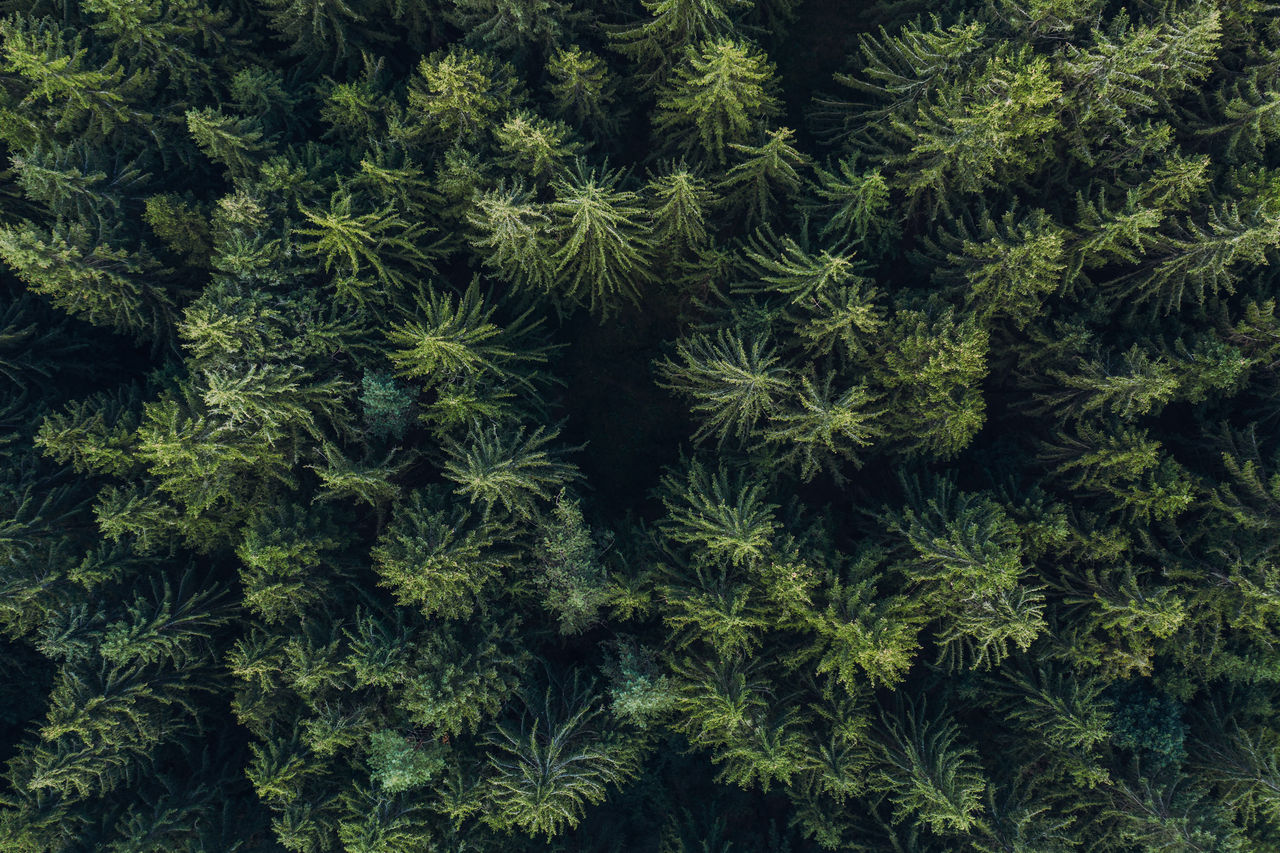 Climate and Environmental Protection
